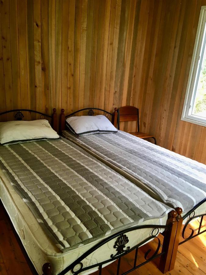 House In Gonio-Kvariati Economy Class מראה חיצוני תמונה